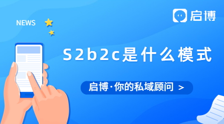 S2b2c是什么模式？為什么S是大寫b和c卻是小寫？