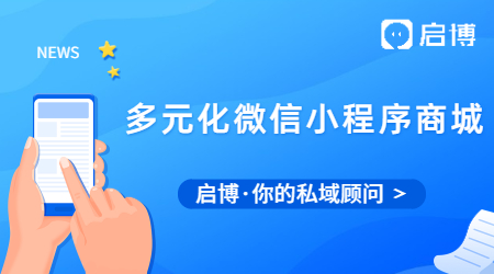 什么是多元化的微信小程序商城?有什么用？